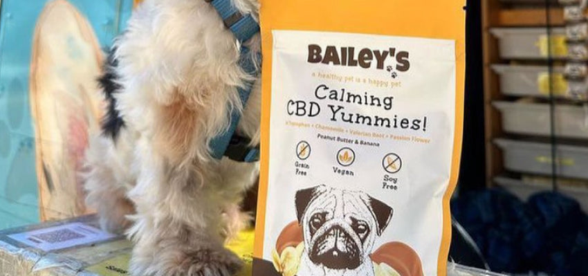 Bailey’s Calming CBD Yummies! - Vegan Dog Chews for Stress and Anxiety Relief