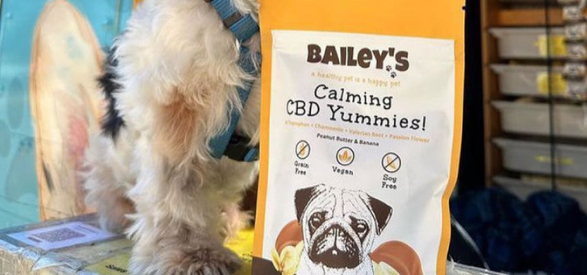Bailey's Calming CBD Yummies for Pets