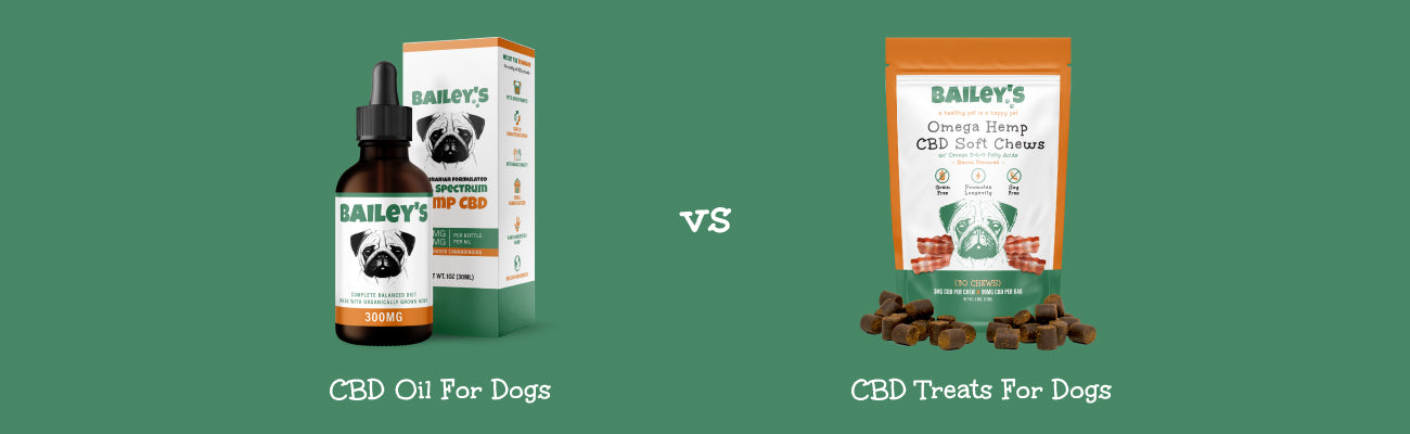 Bailey's CBD Oil For Dogs vs. CBD Dog Treats - Blog Banner Image