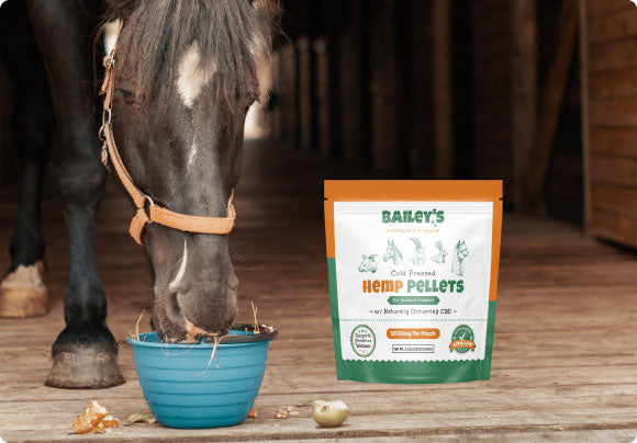 Bailey's Vet-Crafted CBD Pellets for Horses