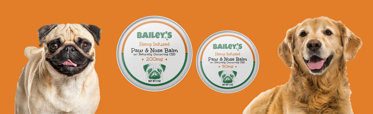Bailey's paw & nose CBD balm for dogs with hot spots