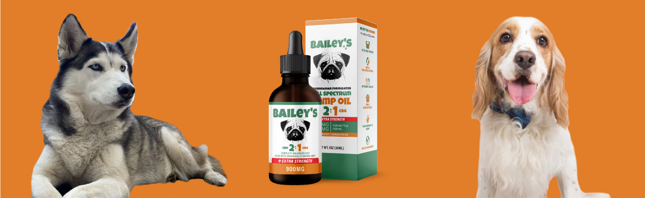 Learn more about Bailey's CBD and CBG Oil For Dogs With Hot Spots