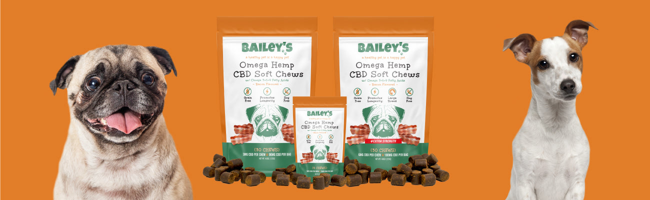 Learn more about Bailey's Omega Hemp CBD Soft Chews For Dogs With Hot Spots