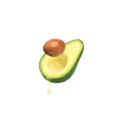 Learn more about avocado oil for dogs with hotspots