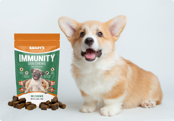 Bailey's Immunity Dog Chews