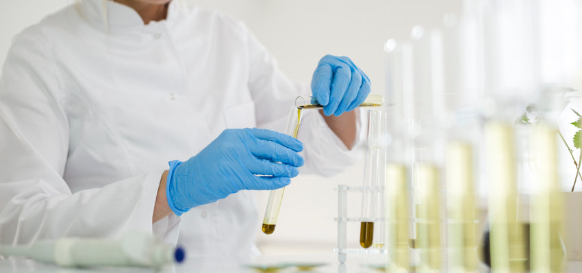 Lab technician ensuring pet CBD products are free from harmful residuals and solvents.