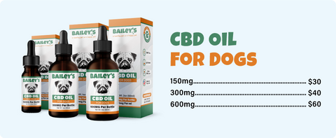 Bailey's CBD Oil for Dogs - Available in Three Convenient Sizes