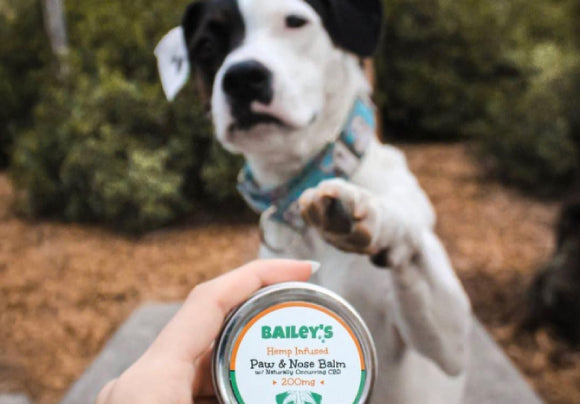 Bailey's CBD Paw & Nose Balm