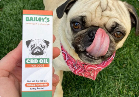Bailey's World Famous CBD Oil For Dogs
