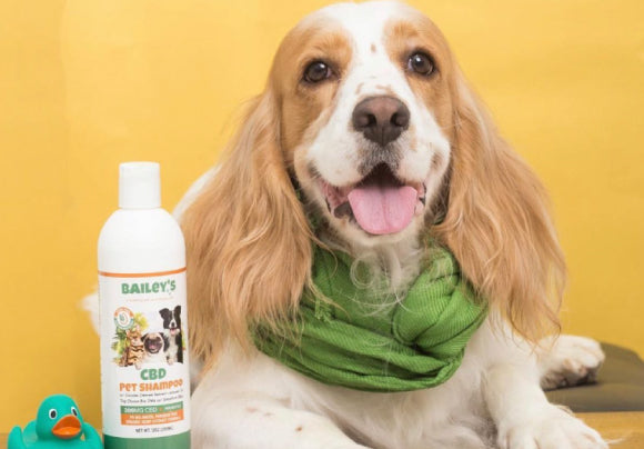 Bailey's CBD Pet Shampoo