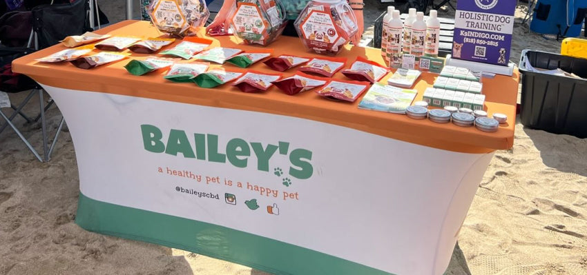 Choosing the Right CBD Product for Pets - Bailey’s CBD Oils and Calming CBD Yummies