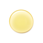 CH Logo