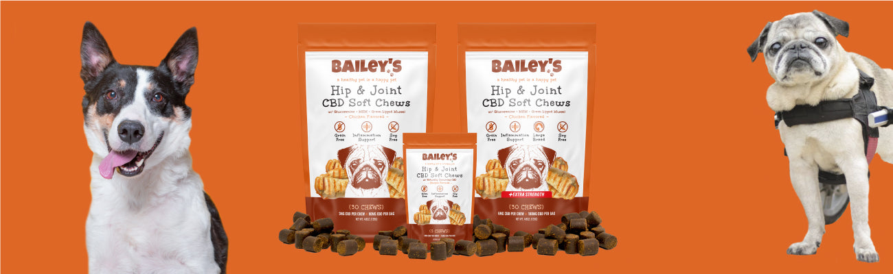Packaging image of Bailey's soft chews, showcasing the hip and joint health benefits for pets.