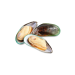 Green Lipped Mussel Icon in Bailey's CBD Soft Chews