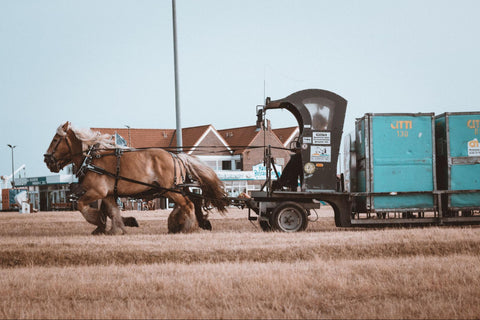 A Brabant horse pulling containers in a transportation setting.