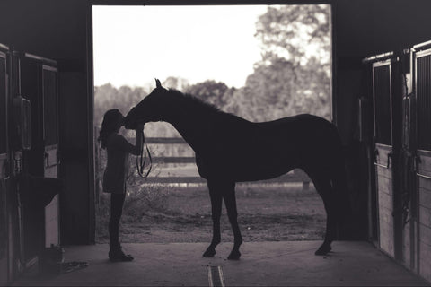 Silhouette image of woman kissing her horse’s nose