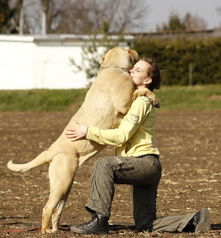 American Mastiff and his owner hugging each other showing care and affection