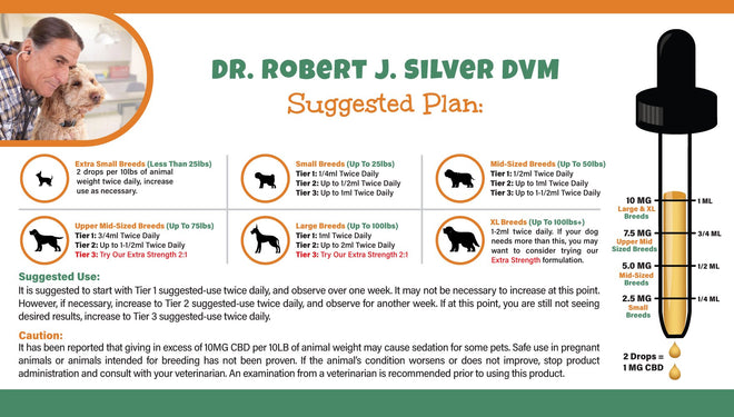 what cbd does for dog