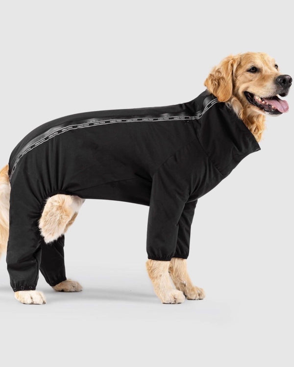 manteau chien mondou