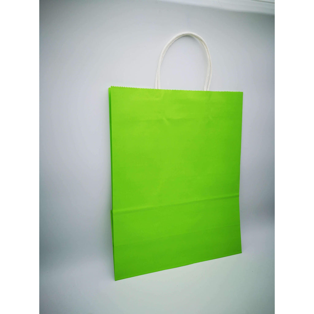 large plain gift bags