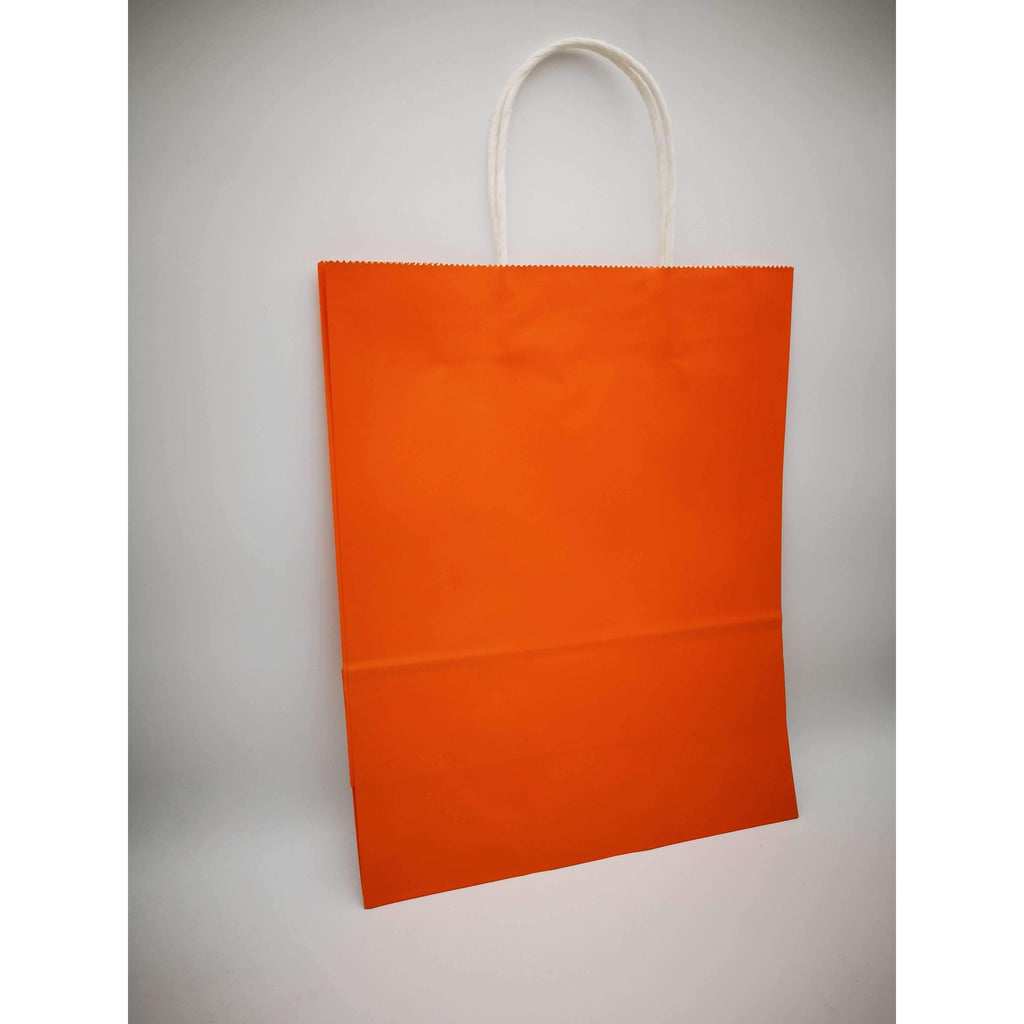 large plain gift bags