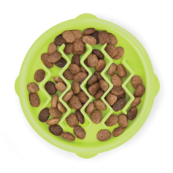 Cat Food Puzzles: How and Why to Use Them • KittyCatGO
