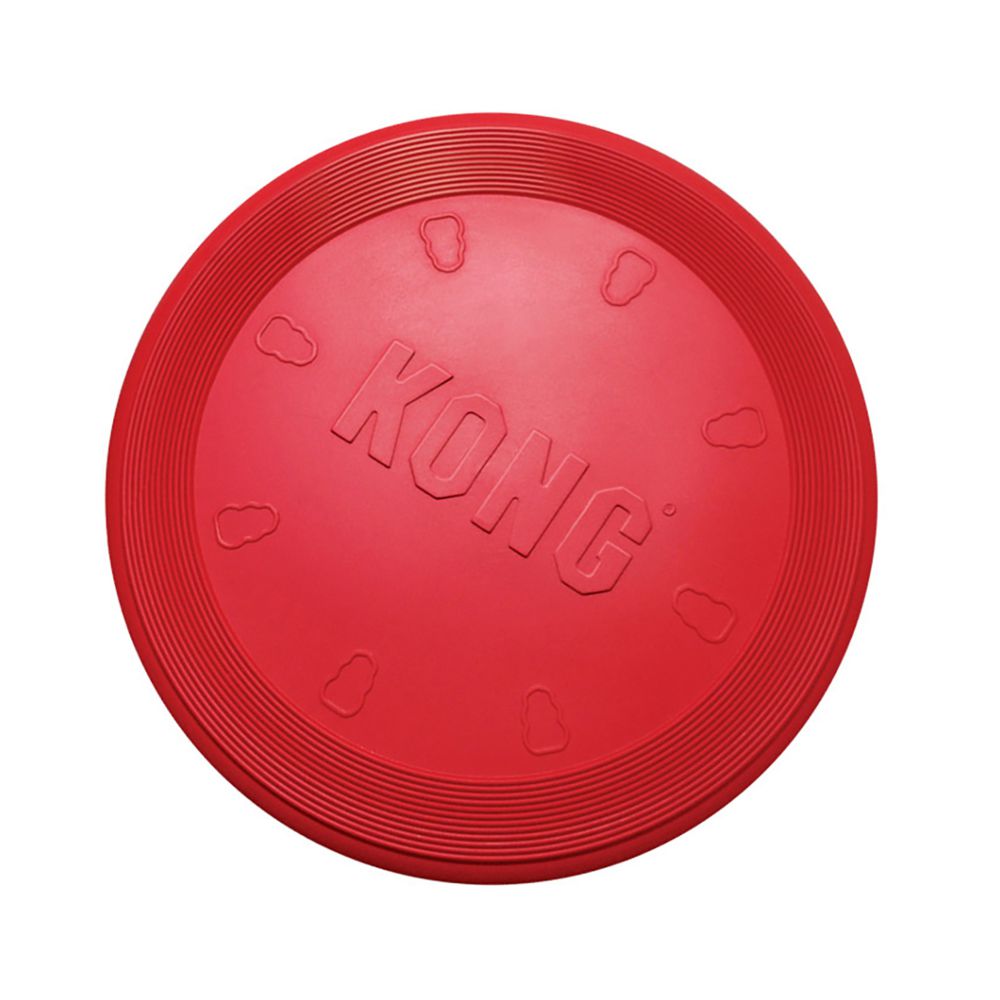 kong frisbee