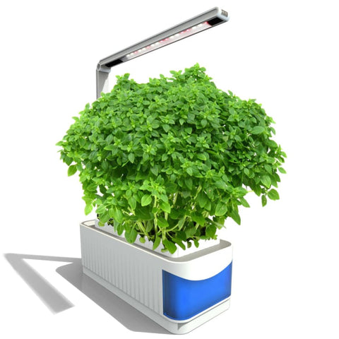 Mini Hydroponic Indoor Vegetable Garden with Led Lamp