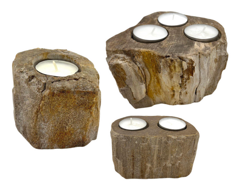 Single, Double and Tripple Petrified Wood Candle Holders