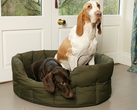 Waterproof dog bed