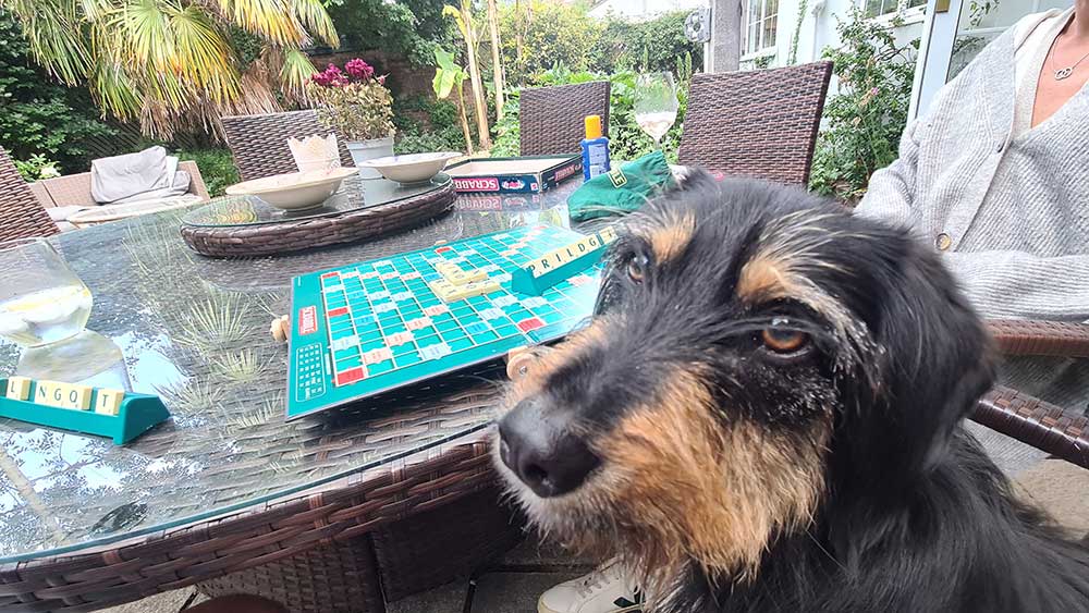 Puppy Scrabble