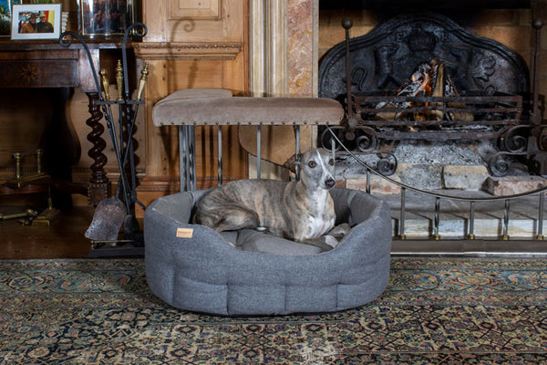 Round dog bed for a whippet
