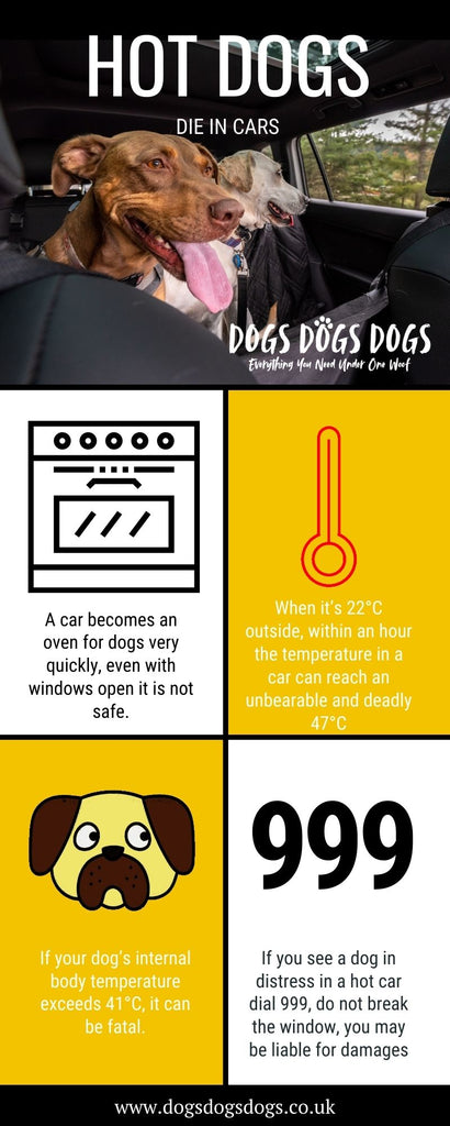 Hot dogs in cars Infographic