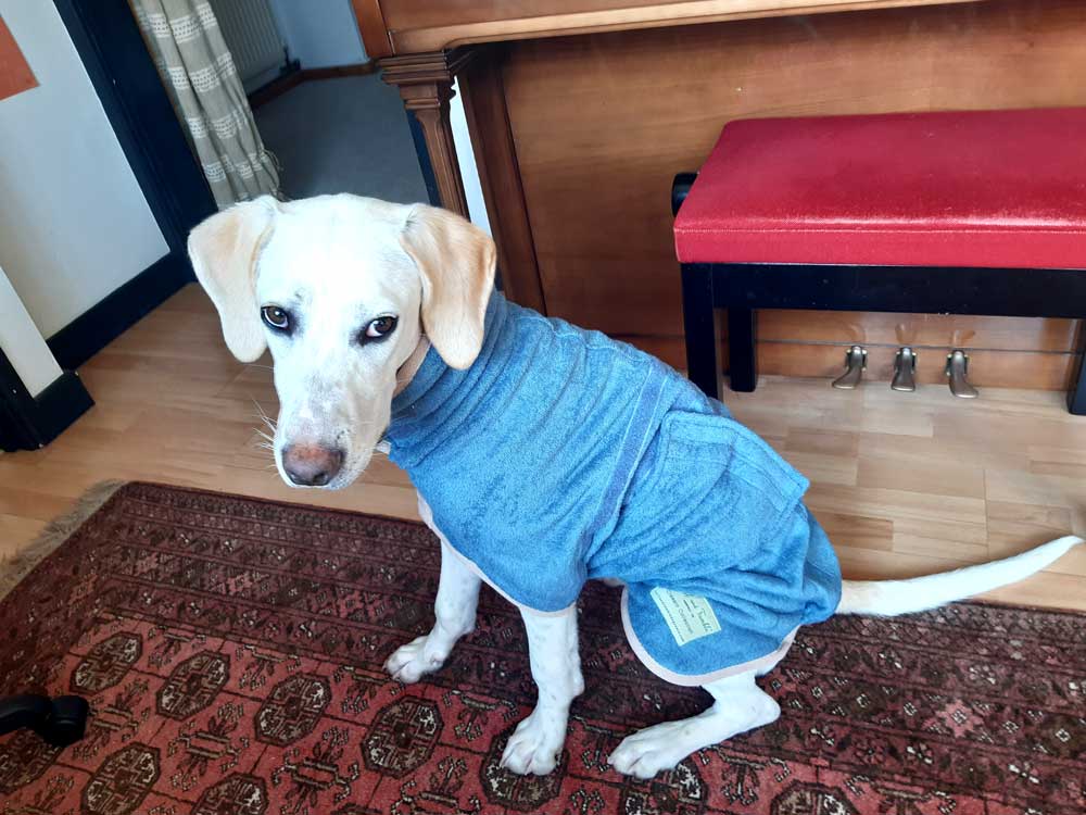 Ruff & Tumble Dog Drying Coat