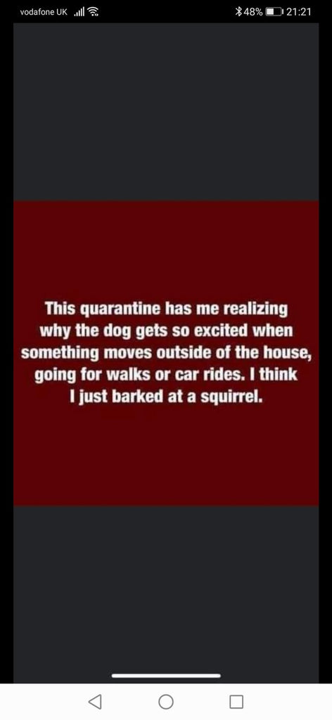 Squirrel Barking