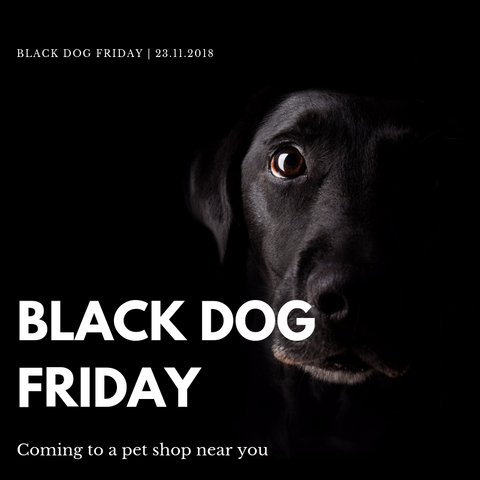 Black dog Friday