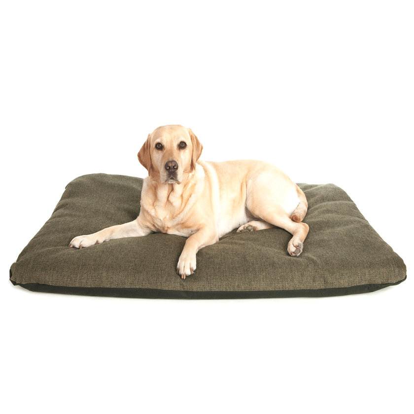 Replacement Dog bed matresses 