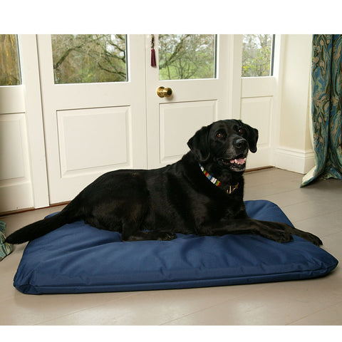 Labrador on a dog bed