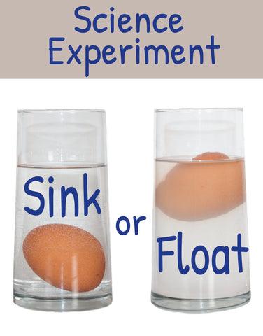 Sink Or Float Easy Science For Kids Moose Mischief
