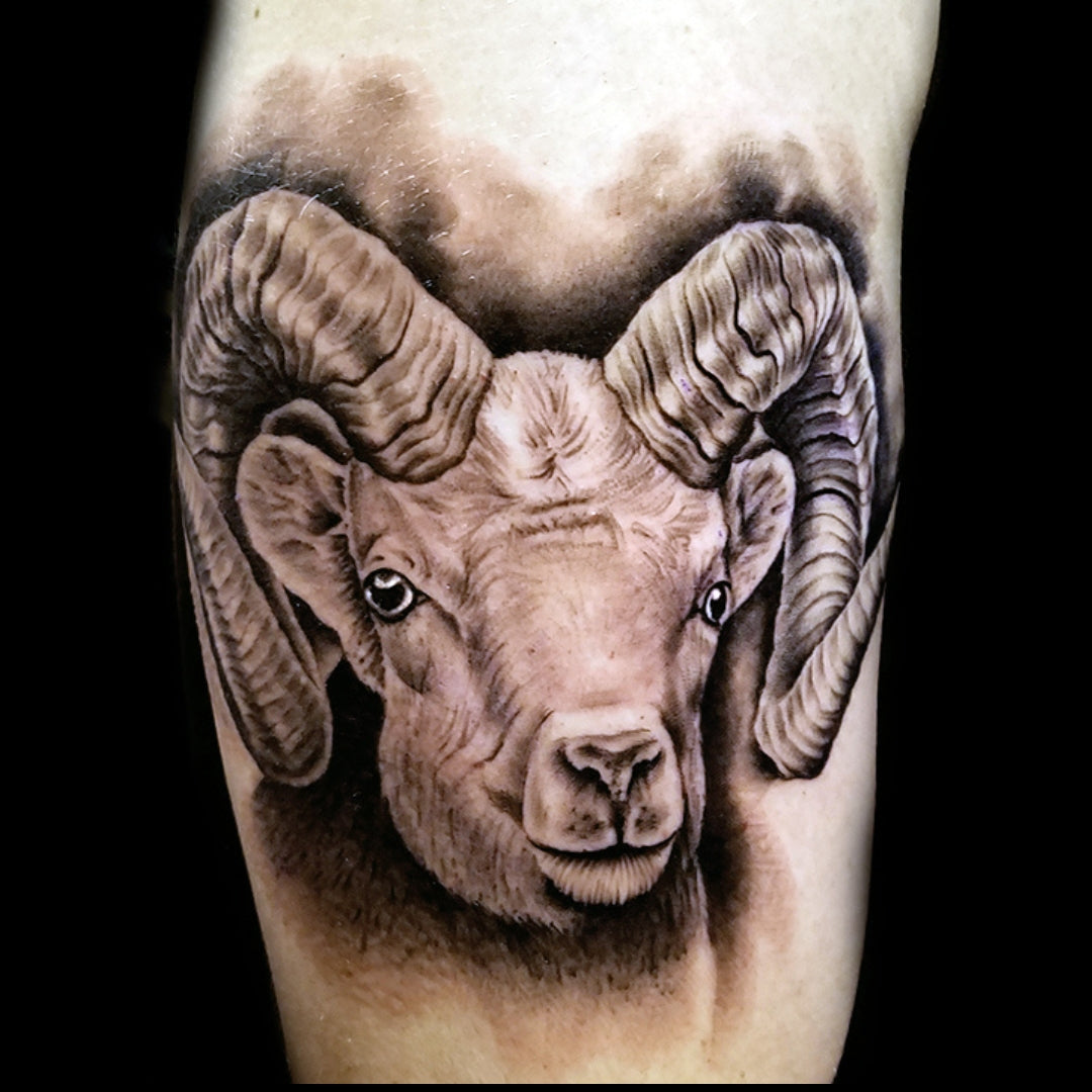 Alex Lozano Club Tattoo Las Vegas Tattoos (23).jpg__PID:5922760a-3254-4c48-a7ac-52b4cbb430f0