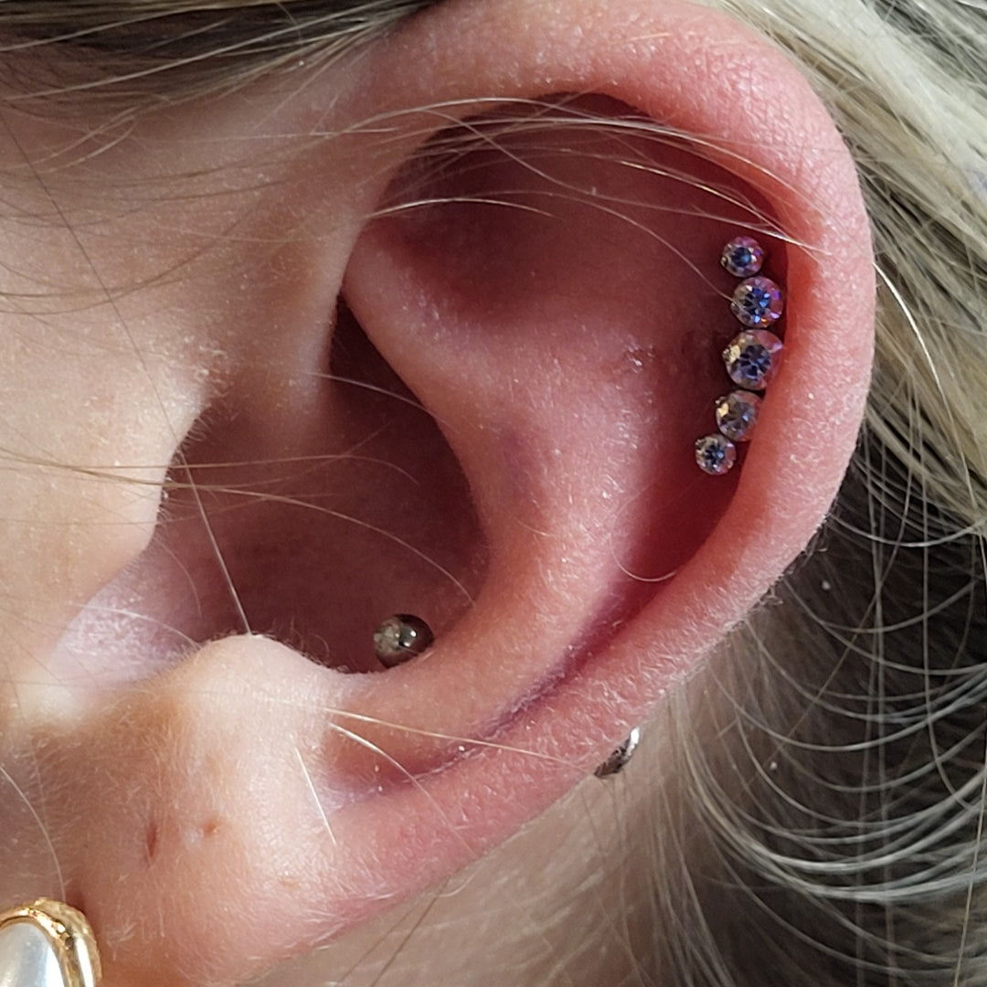 Brandon Bloyer Arizona Professional Piercer 1.jpg__PID:0caecd38-0cf1-487c-ae4a-4b71e484d3db