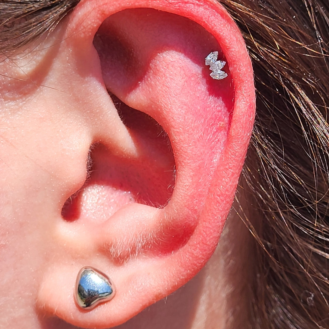 Brandon Bloyer Arizona Professional Piercer 3.jpg__PID:cd380cf1-887c-4e4a-8b71-e484d3dbaffd