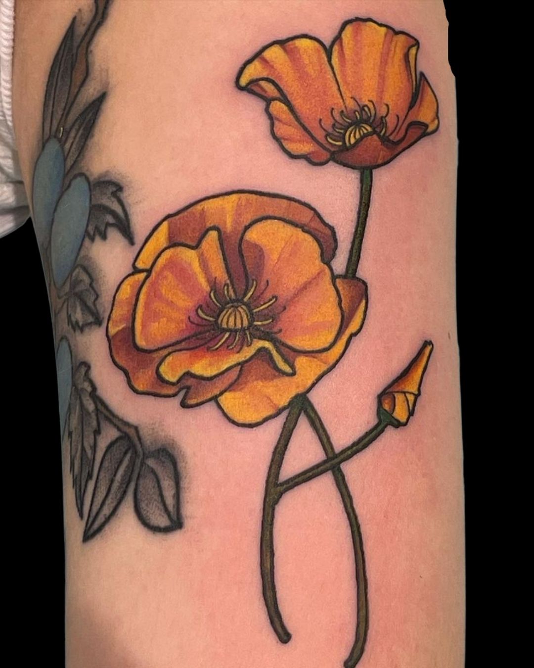 Humingbird Poppy Tattoo by KeelHauled Mike of Black Anchor… | Flickr