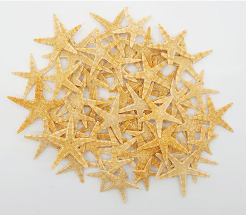 10 Ten Starfish Natural 1/4" - 1"
