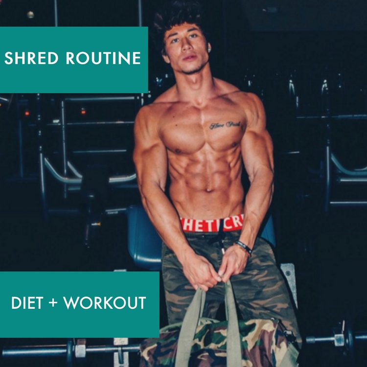 v shred diet reviews