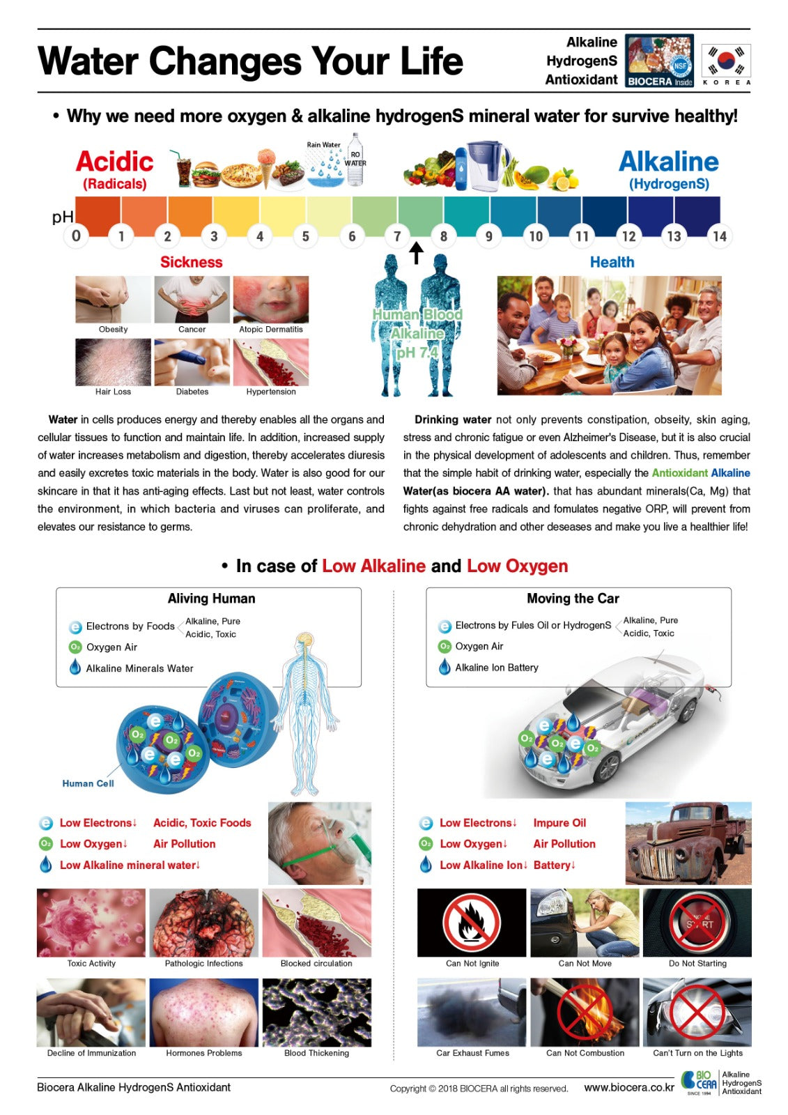 hommix uk biocera causes of lack of minerals in nature and man made machines