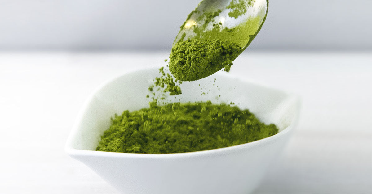 What Is Matcha Green Tea