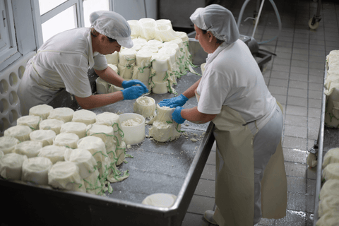 Torta de barros dairy - women making cheese