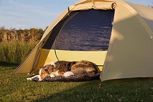 Nature bed for camping image