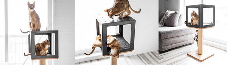 HabikattEVO cat tree